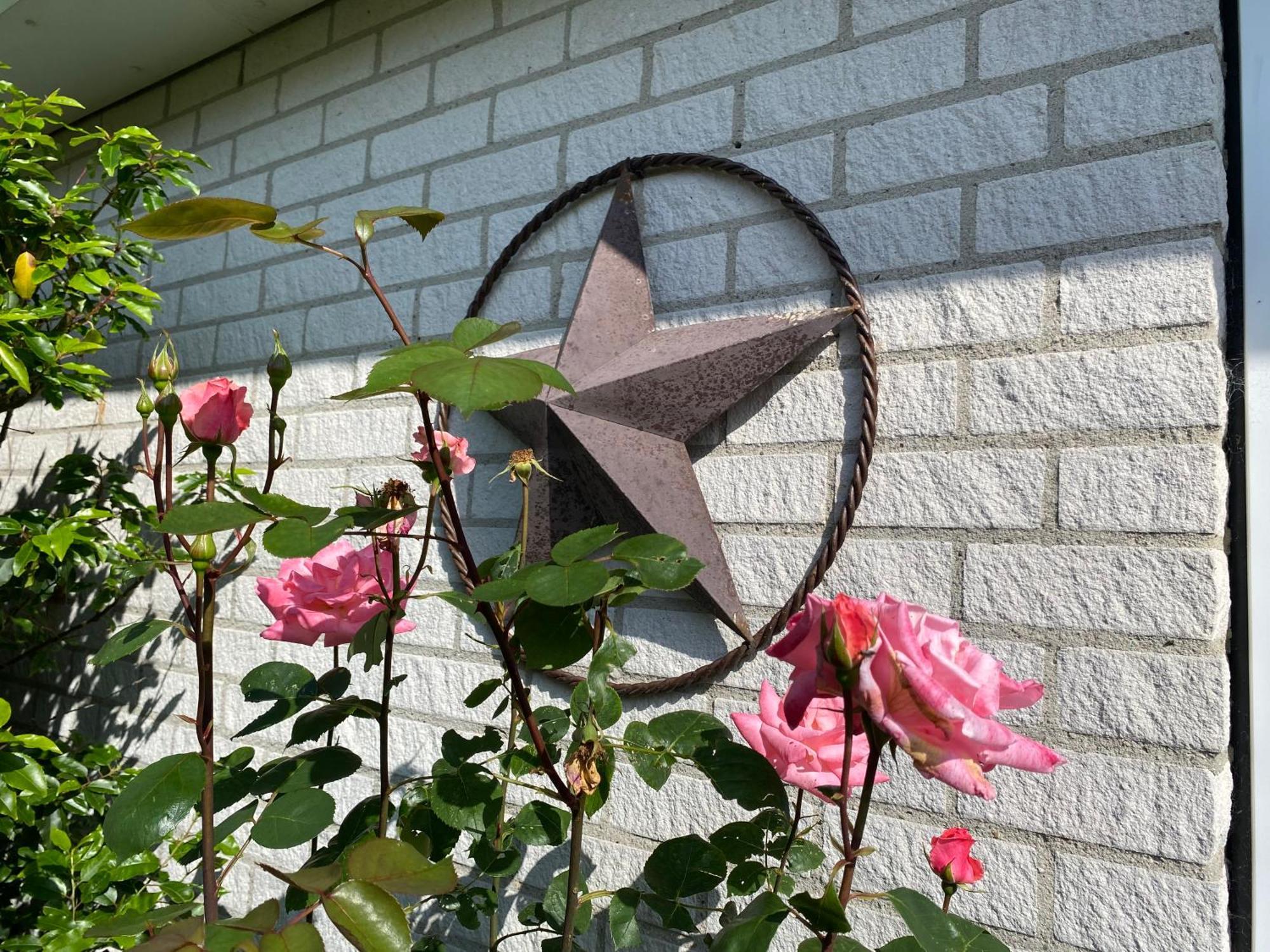 Lonestar Appartement Burgh-Haamstede Exterior foto